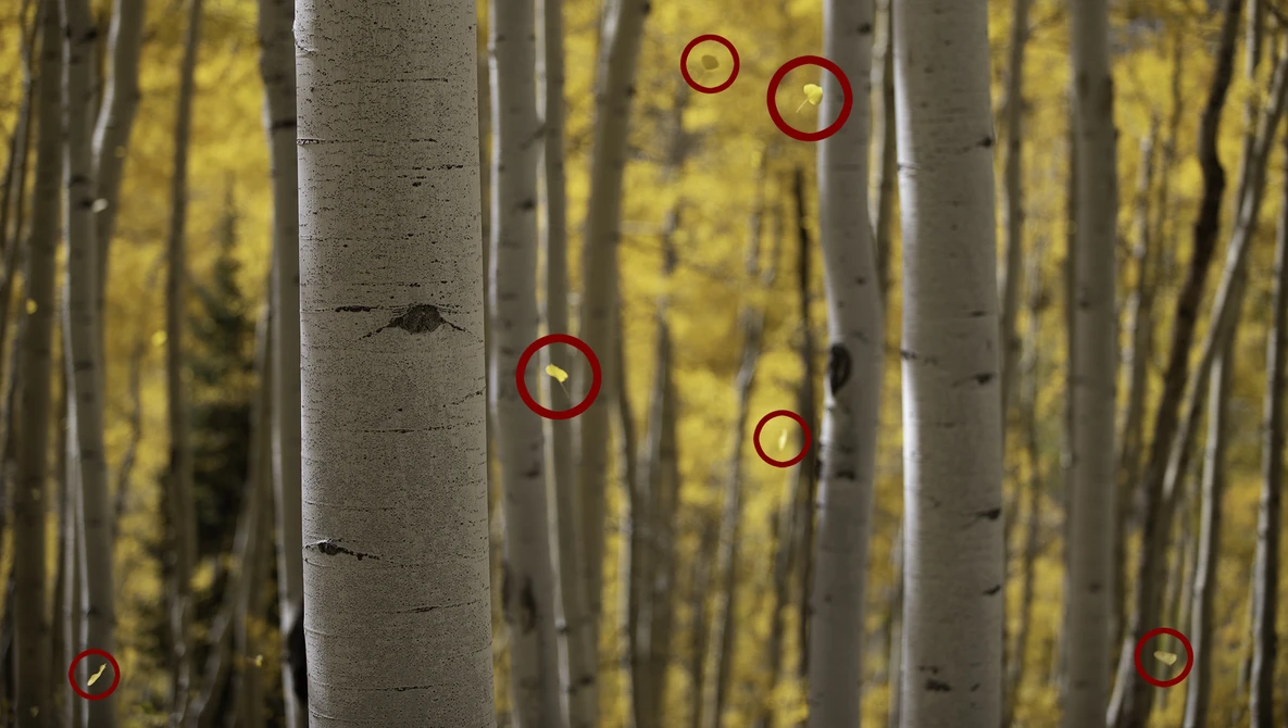 Watch Time Blending in Landscape Photography | Fall in Colorado (Part 3) on YouTube.