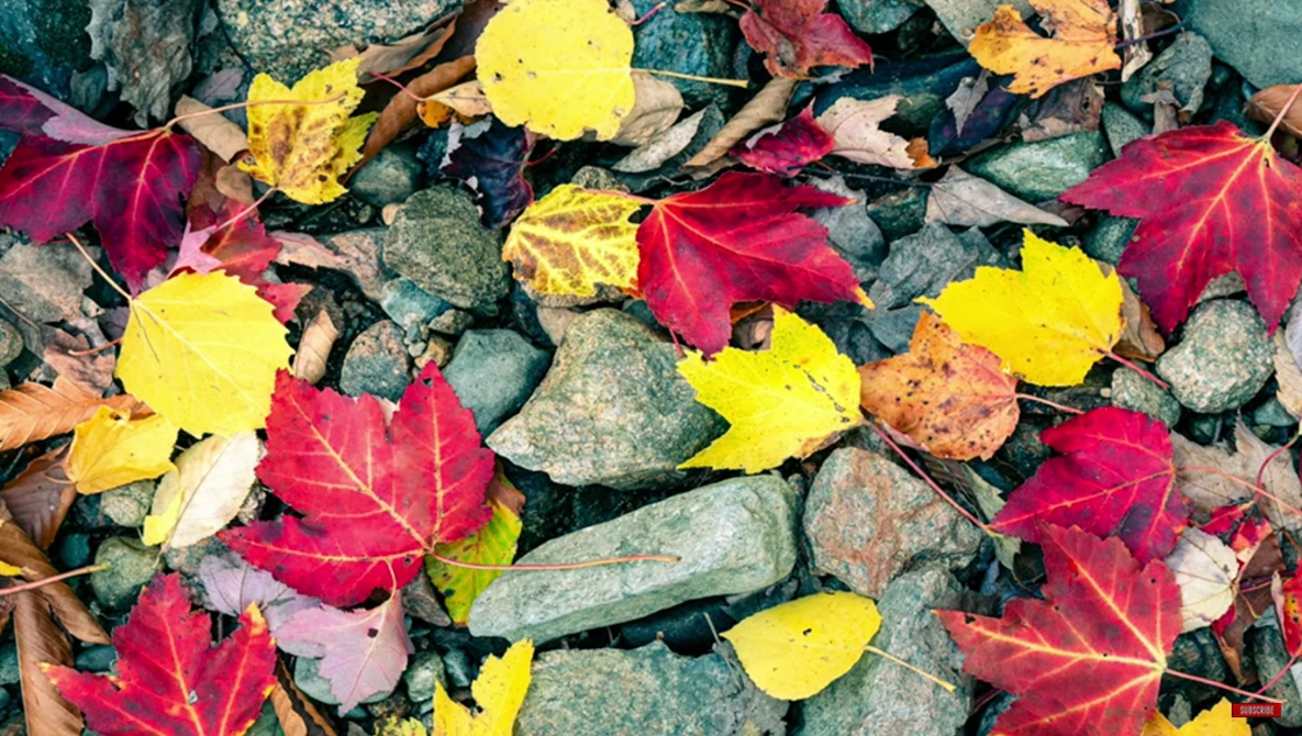 Watch This will FOREVER CHANGE how you DEVELOP COLOR in Your Landscape Photos! on YouTube.