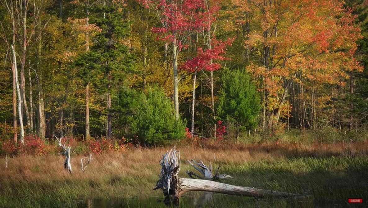 Watch On-Location Tips That IMPROVED My Landscape Photography the MOST!! on YouTube.