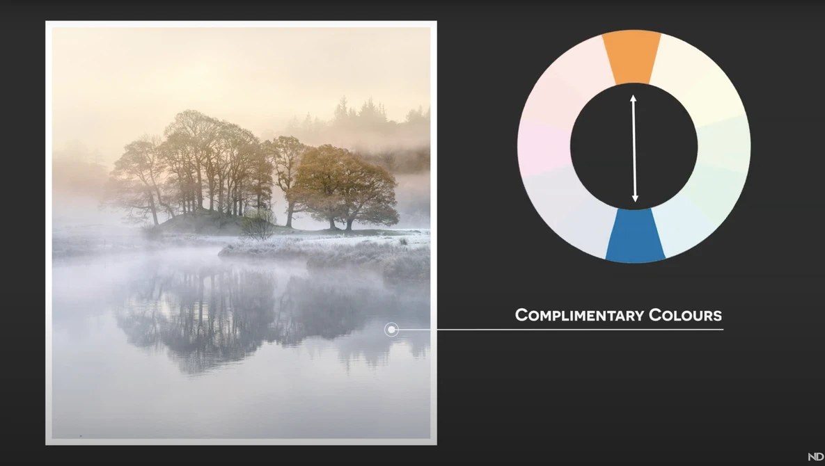 Watch 7 SIMPLE tips you SHOULD know for AUTUMN PHOTOGRAPHY on YouTube.