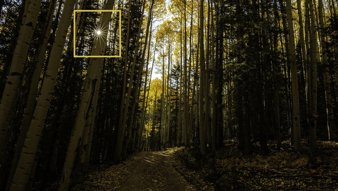 Watch How to Capture The Perfect Sunburst | Fall in Colorado (Part 2) on YouTube.
