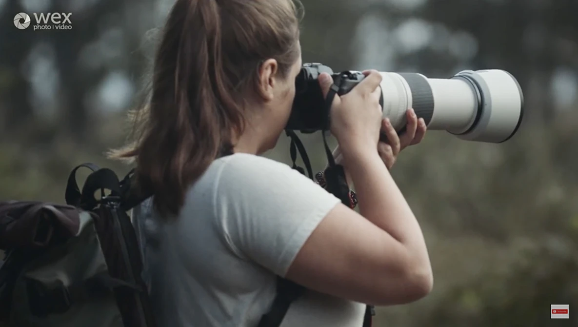 Watch Canon RF 100-500mm f/4.5-7.1 review | Norfolk for a day on YouTube.