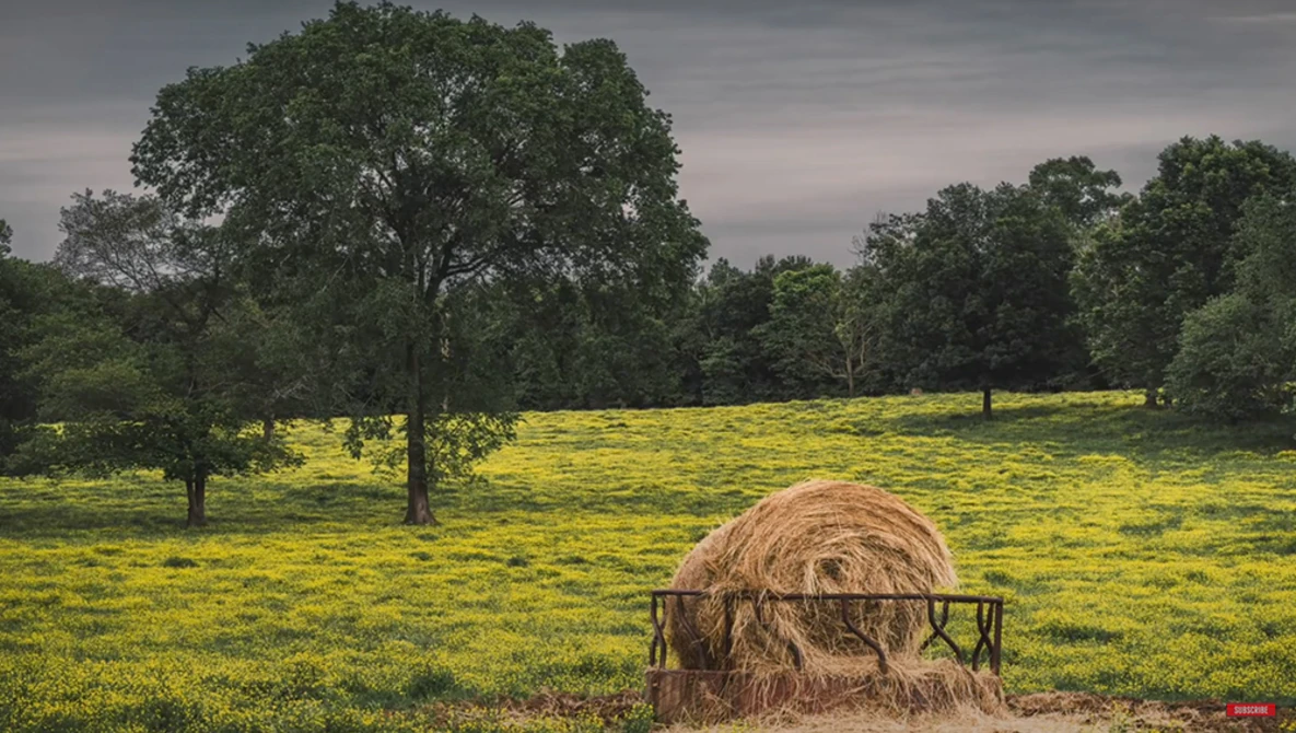 Watch 8 BEGINNER Landscape Photography MISTAKES That’ll HURT You the MOST!! on YouTube.