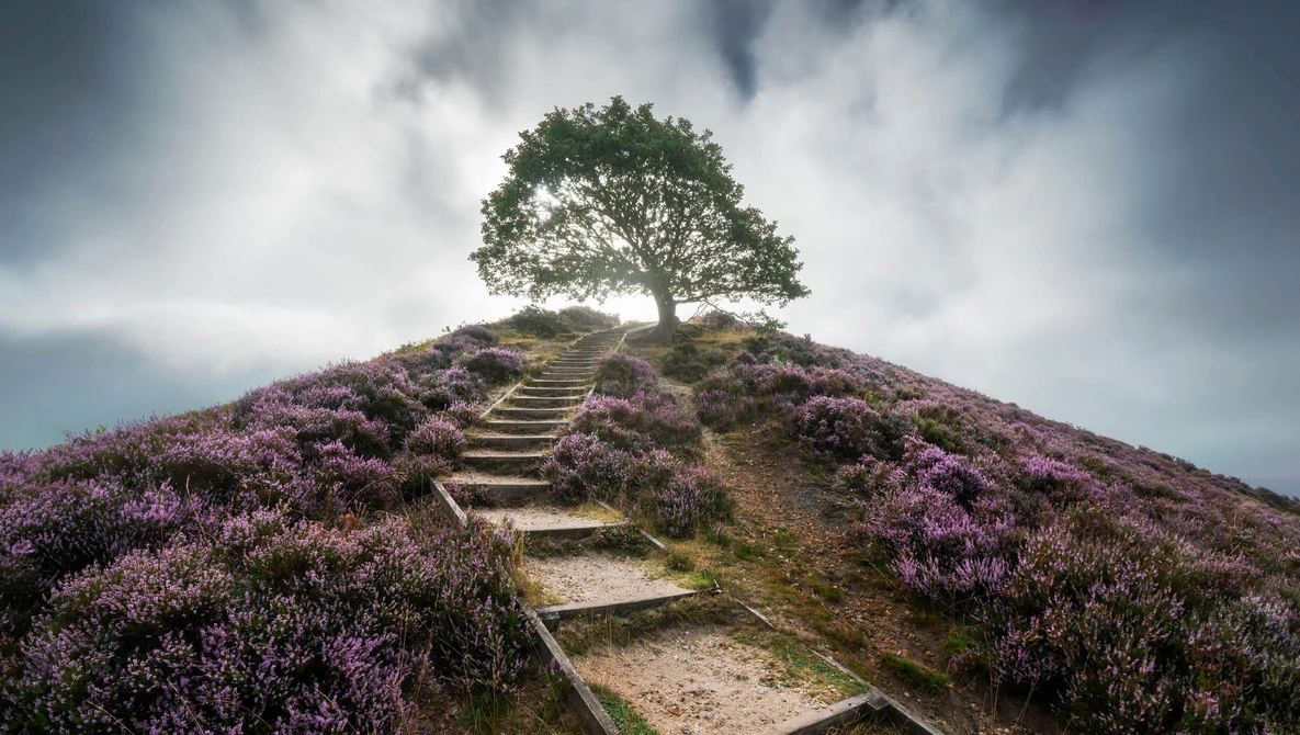 Watch Landscape Photography from Denmark - Photographing Denmark - Episode 7 on YouTube.
