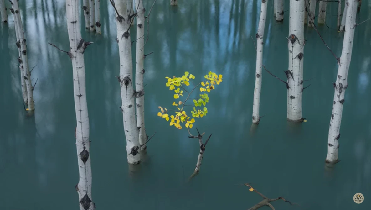 Watch That silky smooth PHOTOGRAPHY VIBE! on YouTube.