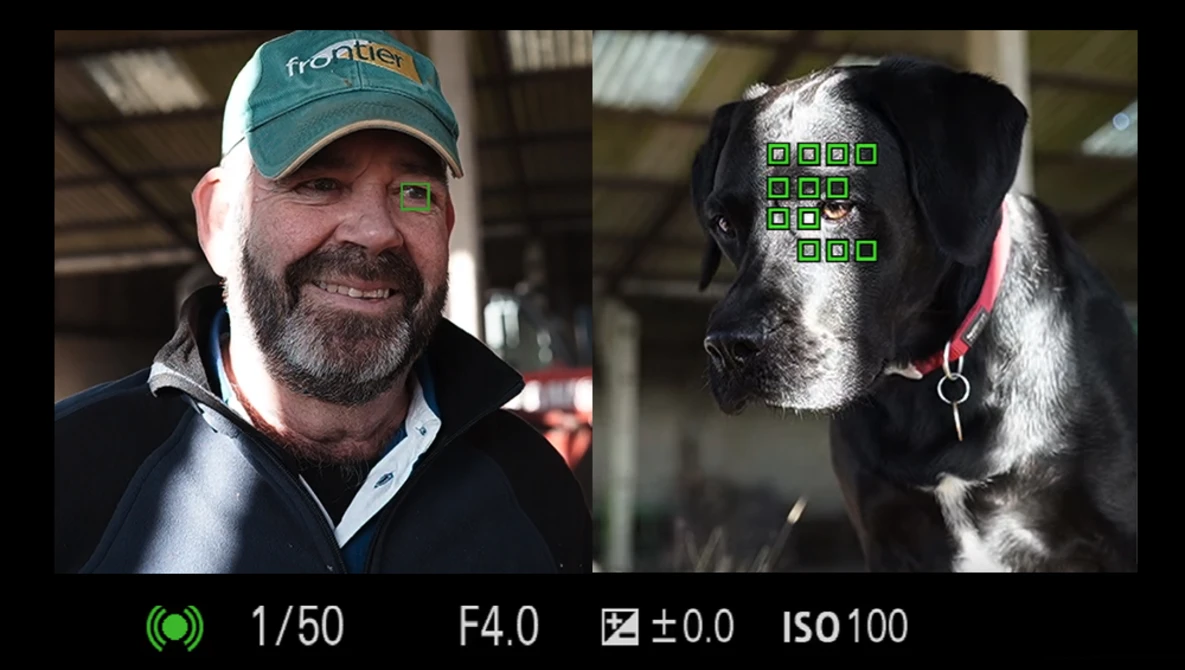 Watch Human and Animal Eye Focus = CRAZY!!! (Sony) on YouTube.