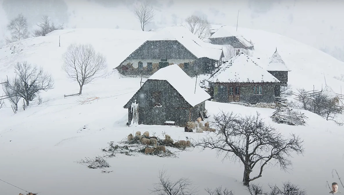 Watch 7 Tips for BETTER PHOTOS during Winter on YouTube.