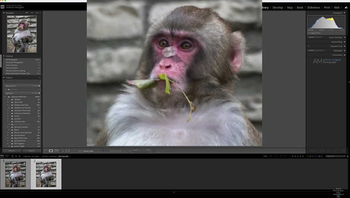 Watch Lightroom Settings You Should Be AWARE Of on YouTube.