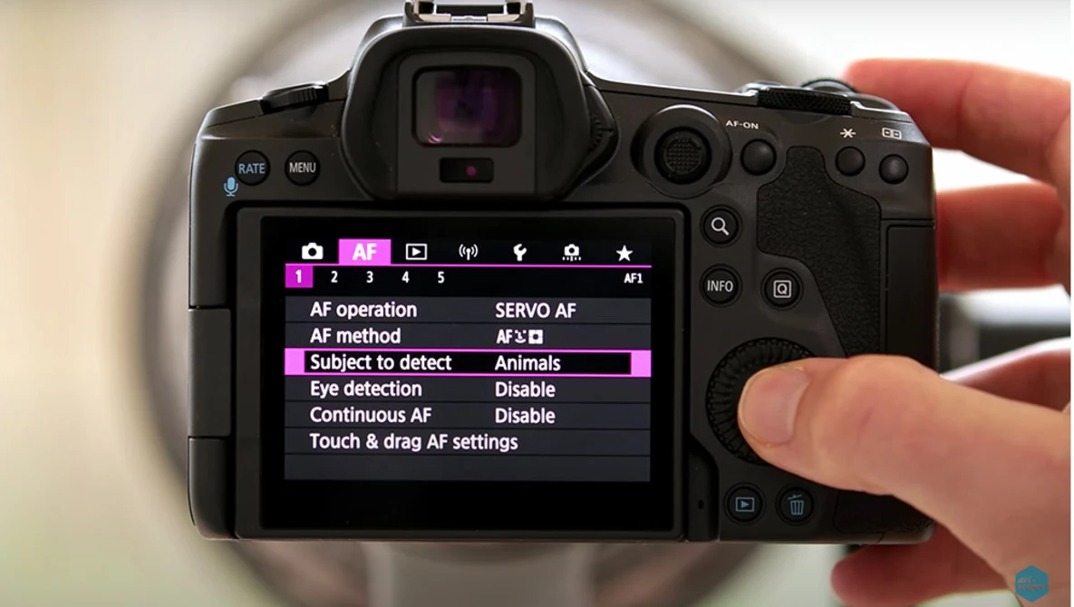 Watch EOS R5 - The SETTINGS YOU NEED to KNOW on YouTube.
