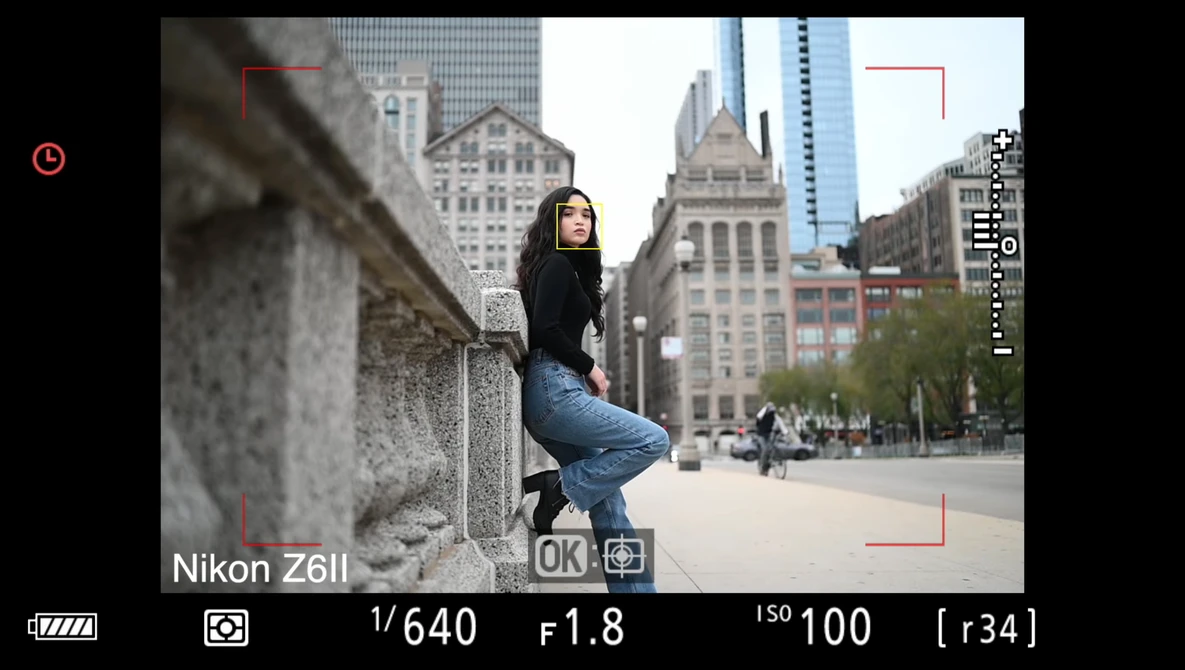 Watch Nikon Z6II vs Canon R5 vs Sony A7III Autofocus Comparison- This is what I learned! on YouTube.