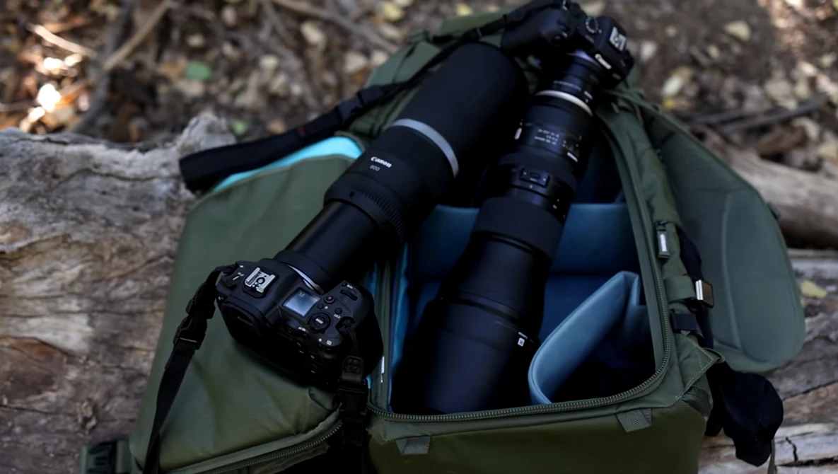 Watch CANON R5 & R6 FOR WILDLIFE: The Differences And Which One Is Right For You on YouTube.