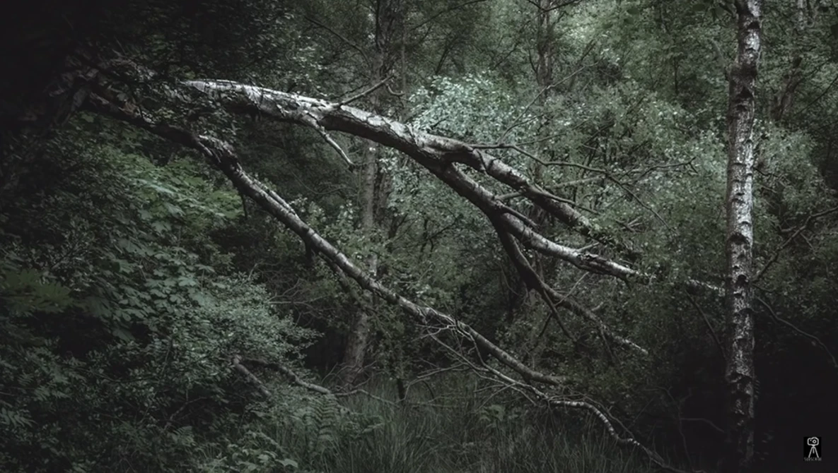 Watch The Escape of Landscape Photography on YouTube.