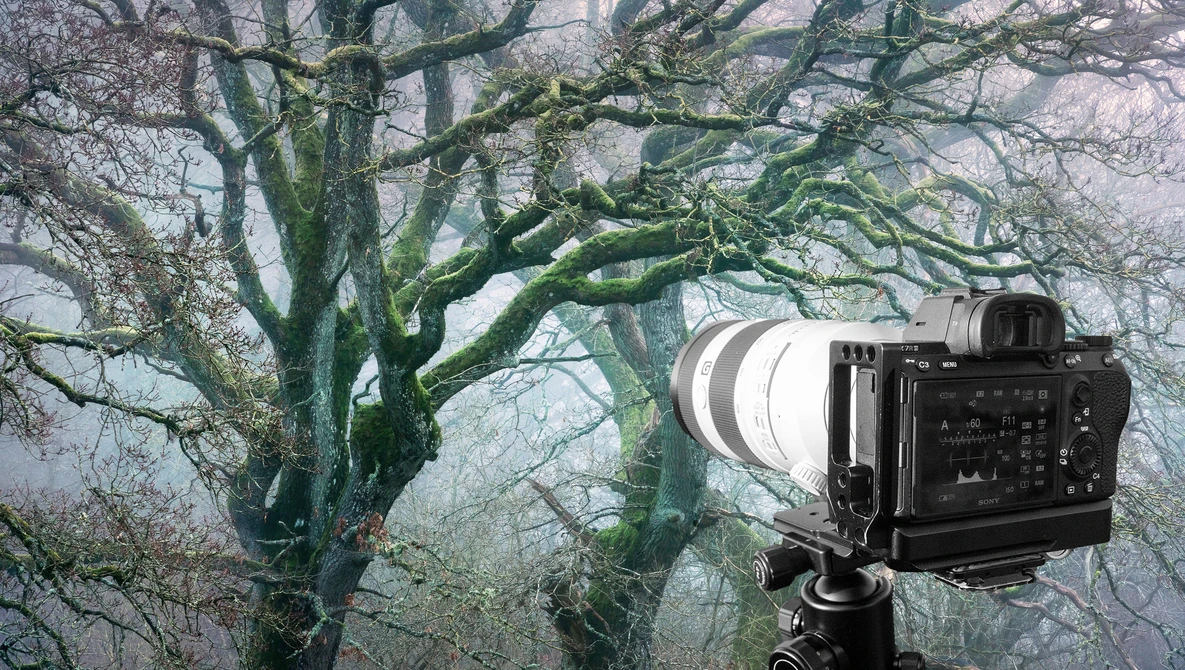 Watch This LIGHTROOM Editing Trick Will Change How You Photograph Forests! on YouTube.