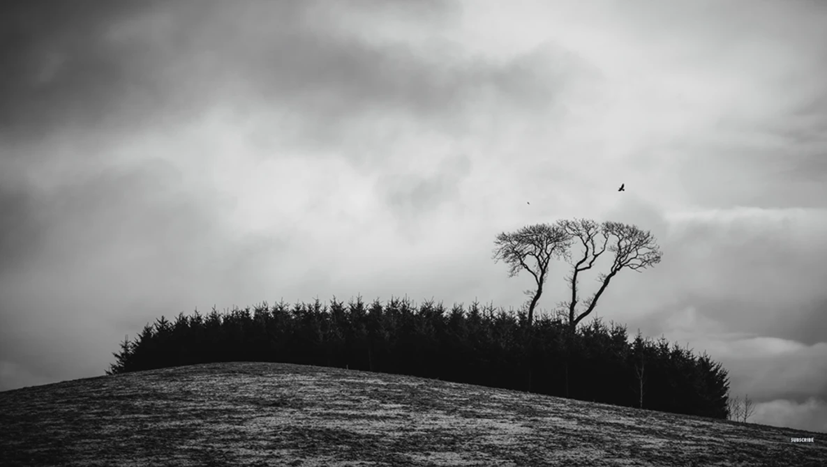 Watch A Step Back from Epic Photography on YouTube.
