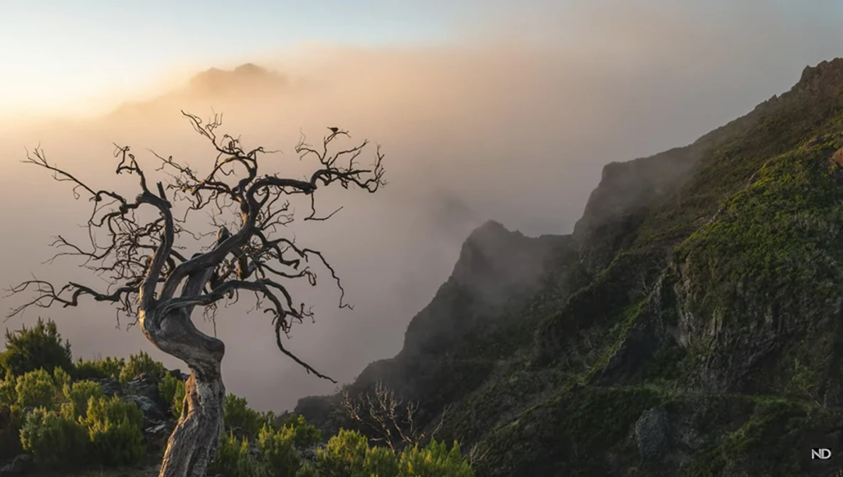 Watch The MOST important PHOTOGRAPHY TIP for a NEW location on YouTube.