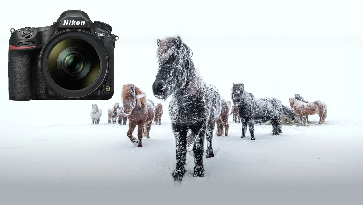 Watch Shooting horses in a snowstorm | Photography in Iceland on YouTube.
