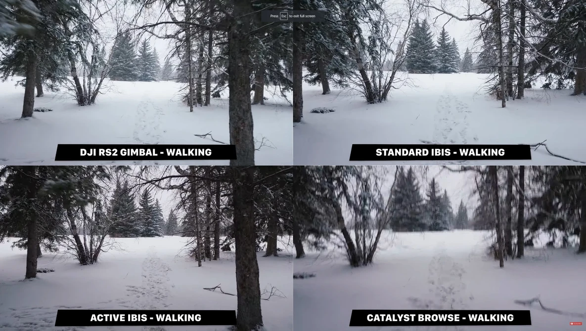 Watch DO YOU REALLY NEED A GIMBAL? DJI RS2 Gimbal vs IBIS [All Sony Stabilization Modes Compared] on YouTube.