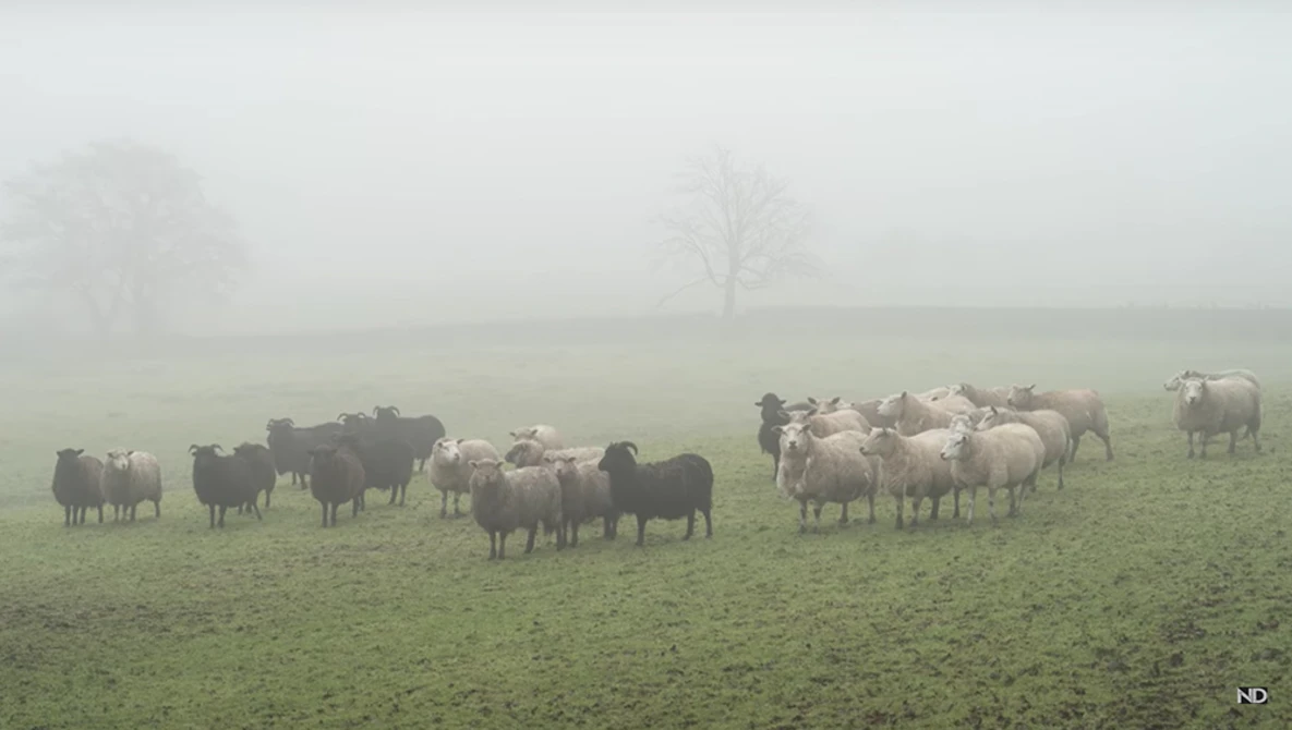 Watch 3 REASONS I bought a 24-200mm LENS for landscape photography on YouTube.