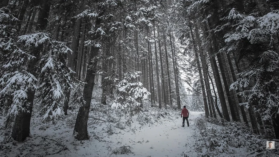 Watch Landscape Photography during Winter: Tips, Composition and Settings on YouTube.