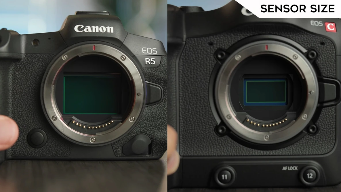 Watch Canon R5 vs. Canon C70 - In-Depth Video Shootout! on YouTube.