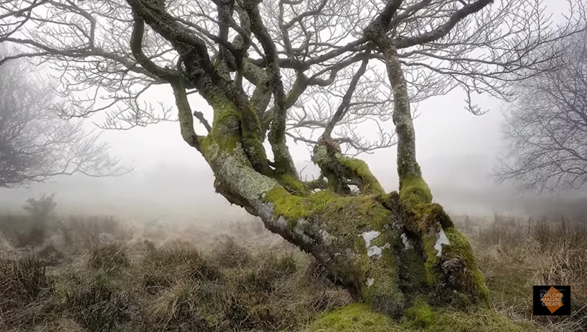 Watch Exposure Bracketing tutorial - Focus stack and exposure bracketing. on YouTube.