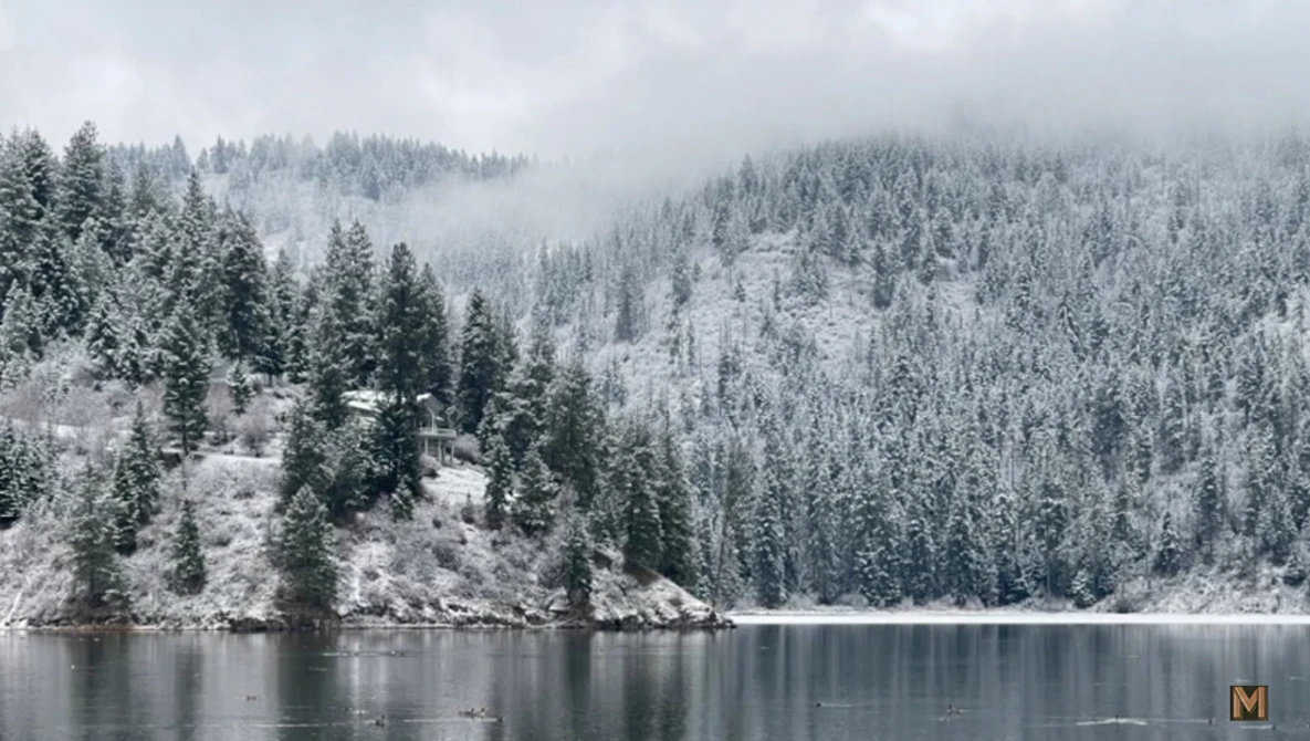 Watch Adobe DID IT AGAIN! Super Resolution is here! on YouTube.