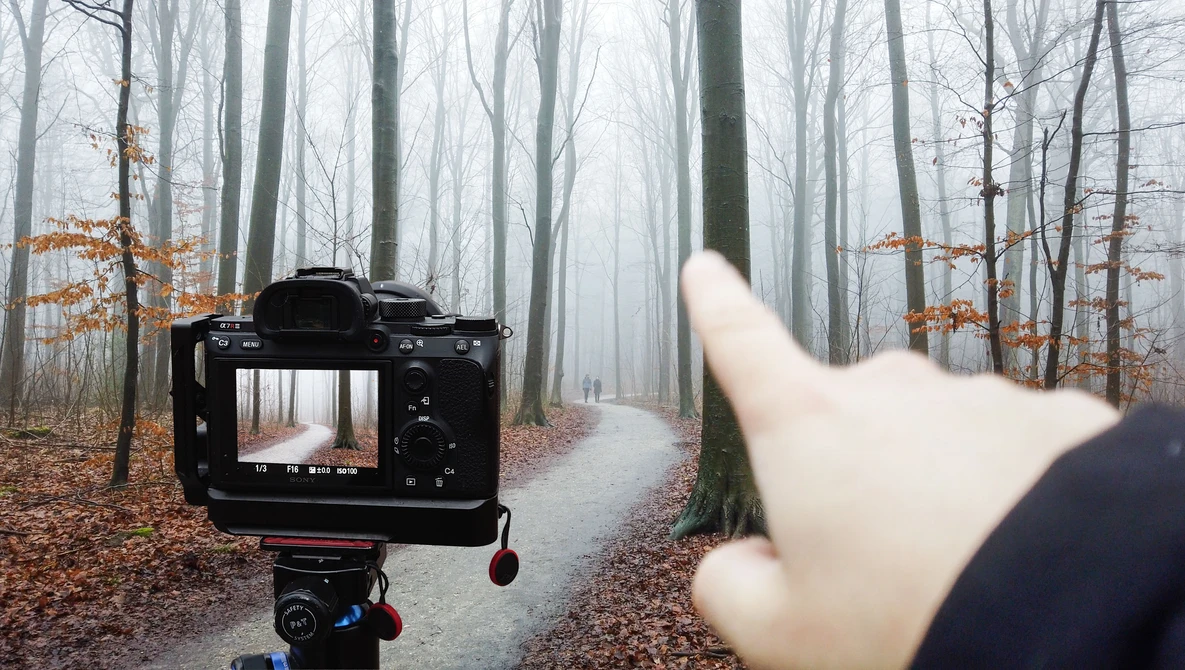 Watch The Golden Rule of Forest Photography (Not Fog ;)) on YouTube.