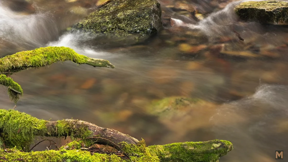 Watch FOCUS STACKING the RIGHT WAY using Adobe Photoshop (HOW, WHY, and WHEN) on YouTube.