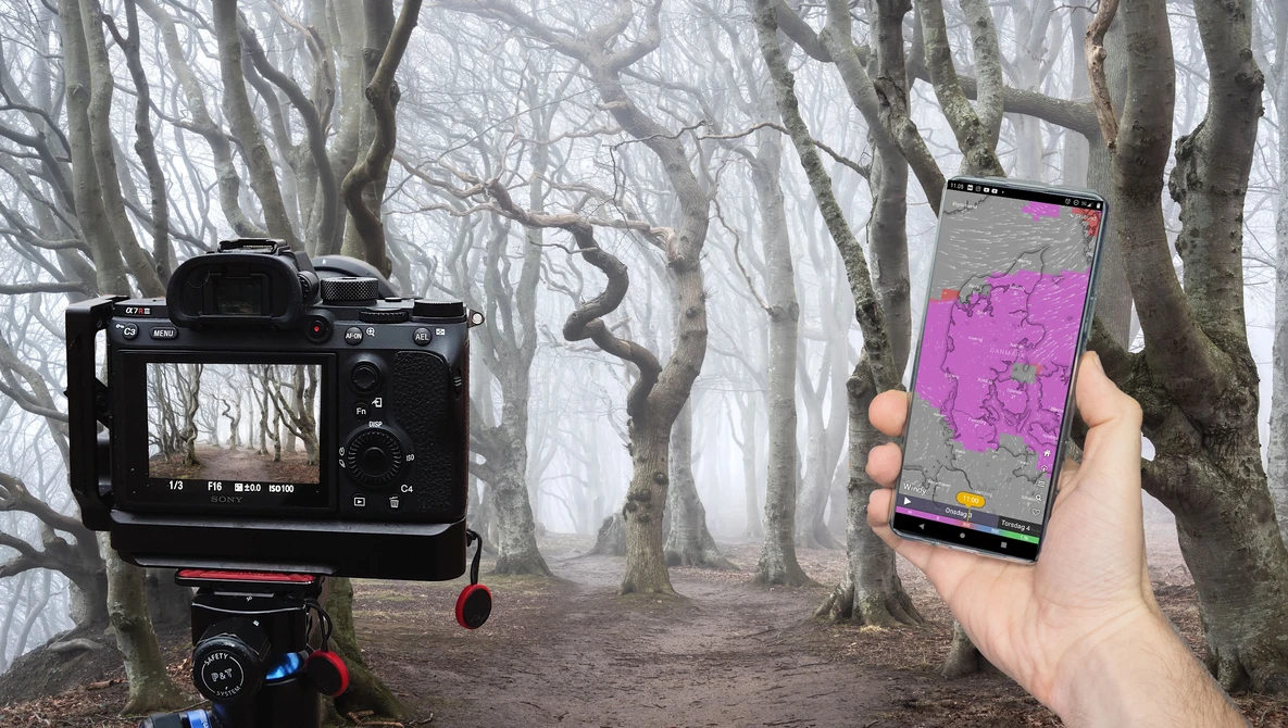 Watch How To Predict FOG | Do NOT cut in Trees! on YouTube.