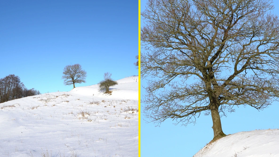 Watch TAMRON 28-200mm | WATCH THIS before buying the lens on YouTube.