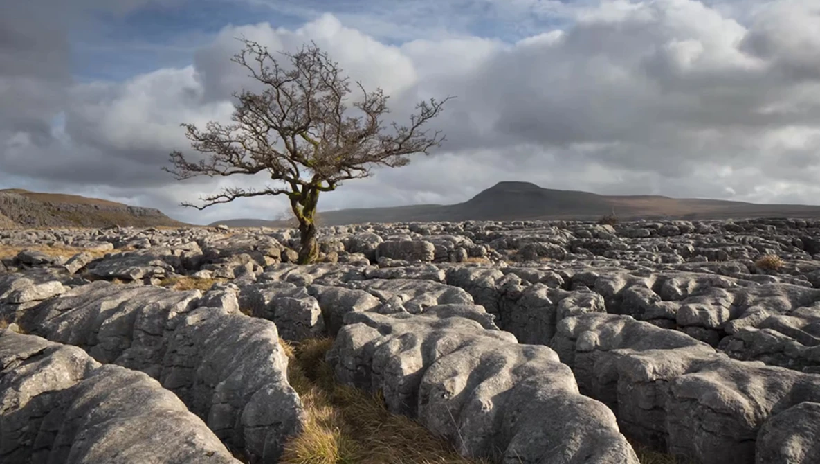 Watch 7 Terrible Landscape EDITING MISTAKES on YouTube.