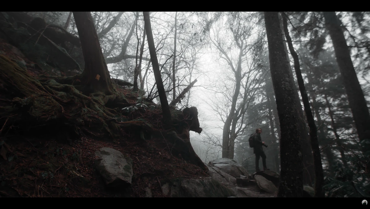 Watch Hiking and Photography in the Great Smoky Mountains (Canon EOS R) on YouTube.