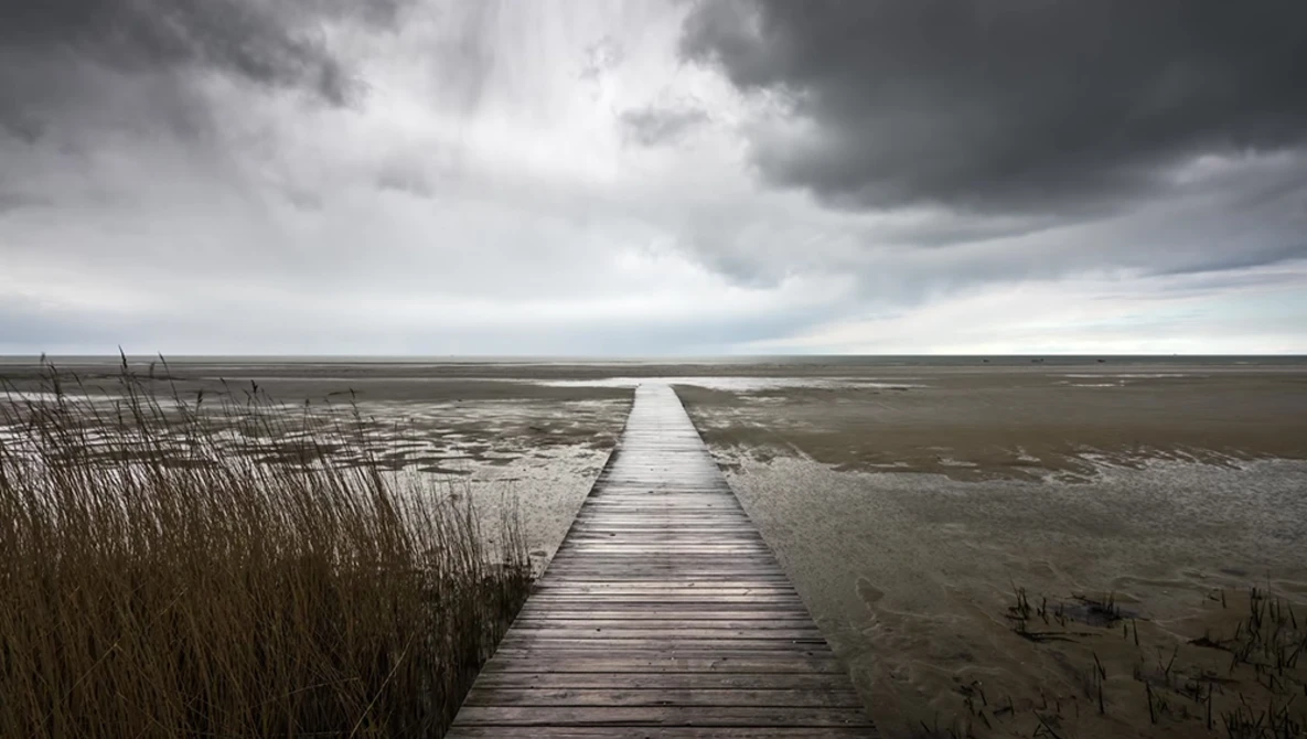 Watch 5 STEPS to Incredible MOODY Landscape Photography on YouTube.