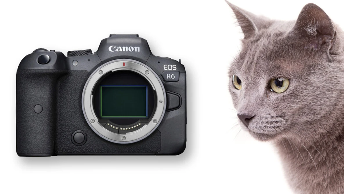 Watch The $4000 Camera Kit - What Cameras and Lenses Would We Choose? on YouTube.