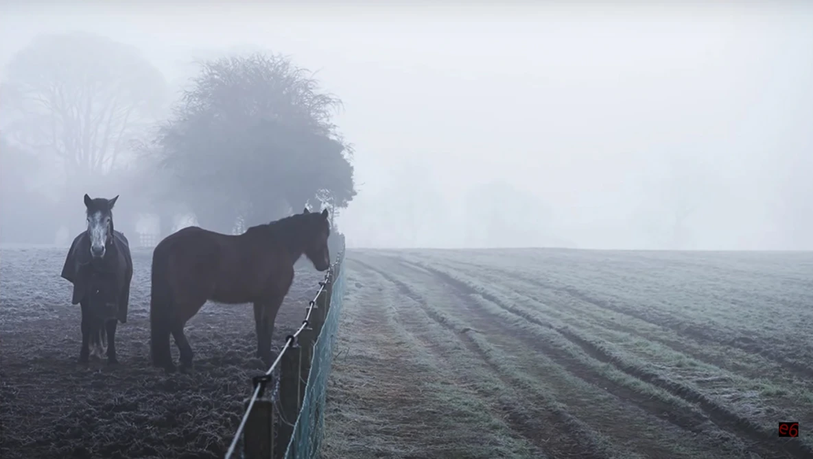Watch How to use Negative Space in photography on YouTube.