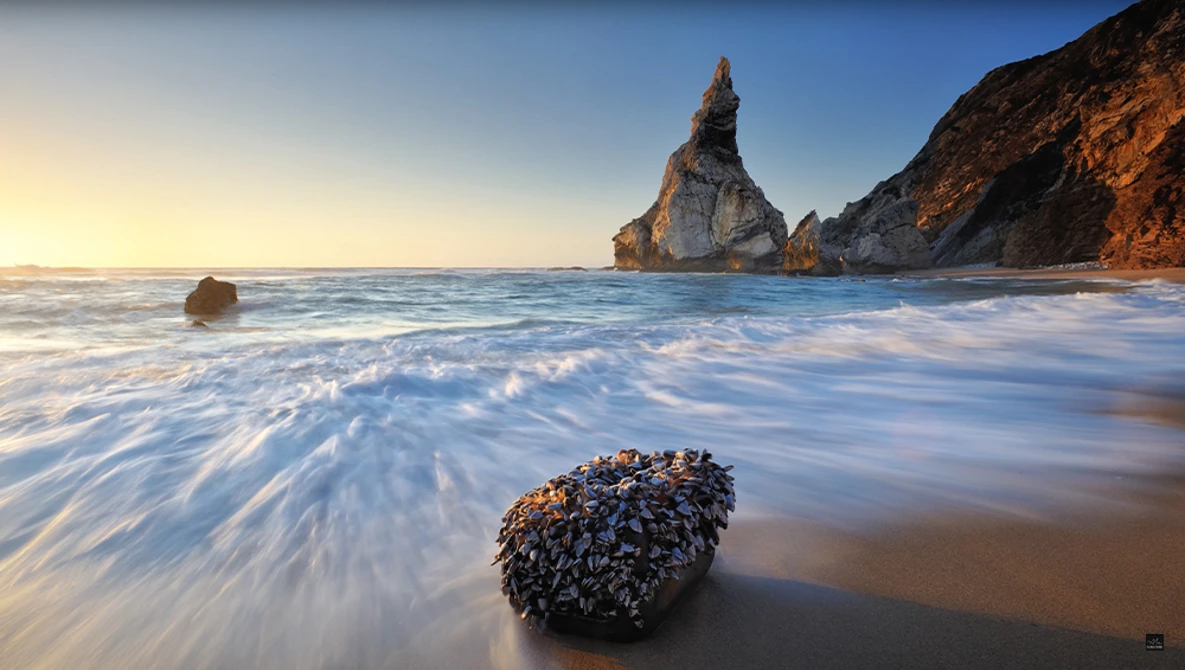 Watch Choosing the Right Lens - Landscape Photography on YouTube.