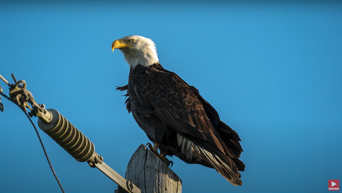 Watch Tamron 150-500mm F5-6.7 - First Impressions on YouTube.
