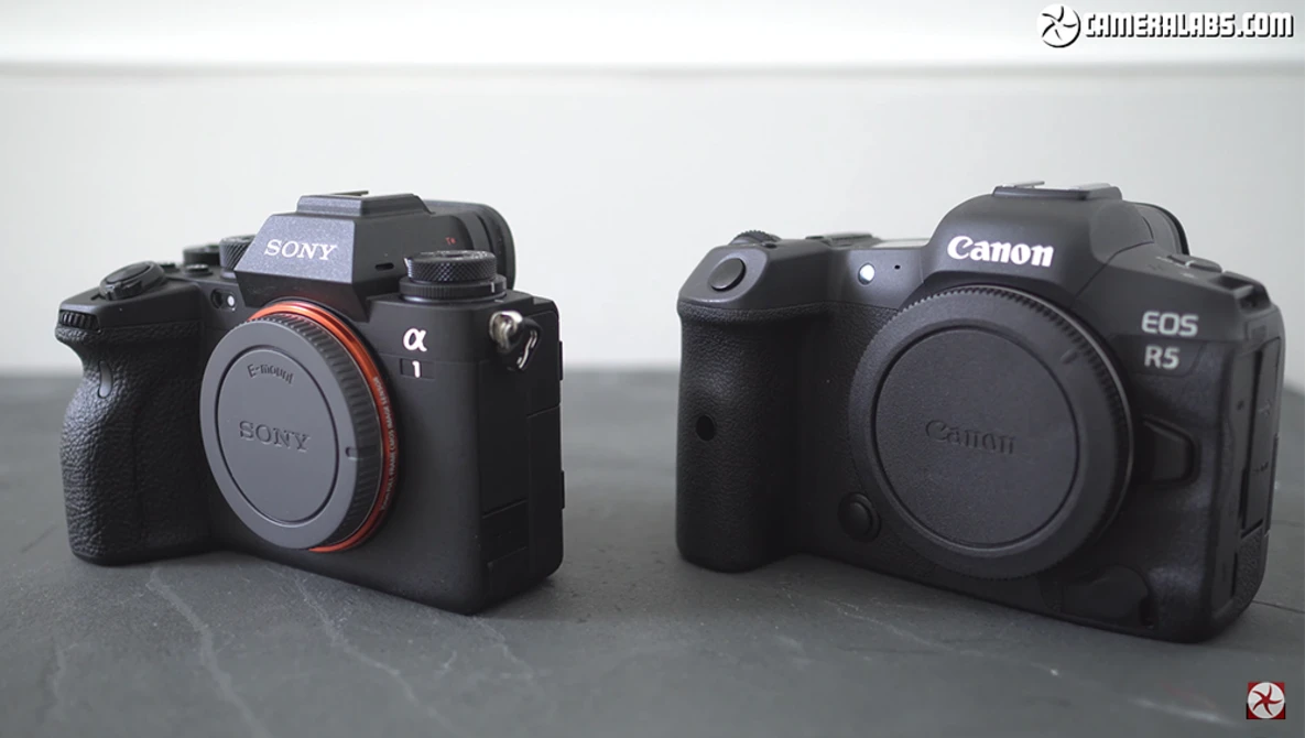 Watch Sony Alpha 1 MOVIE quality vs EOS R5 review 6 months on YouTube.