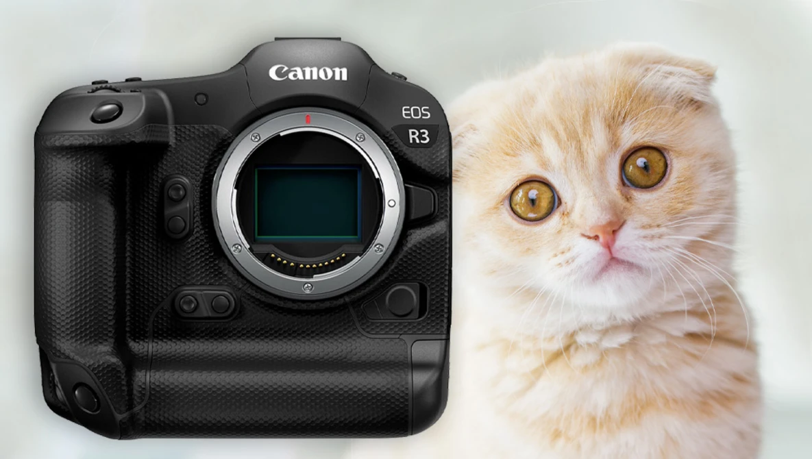 Watch Chip Shortage is wrecking 2021, delaying Canon R3 & Nikon Z8 on YouTube.