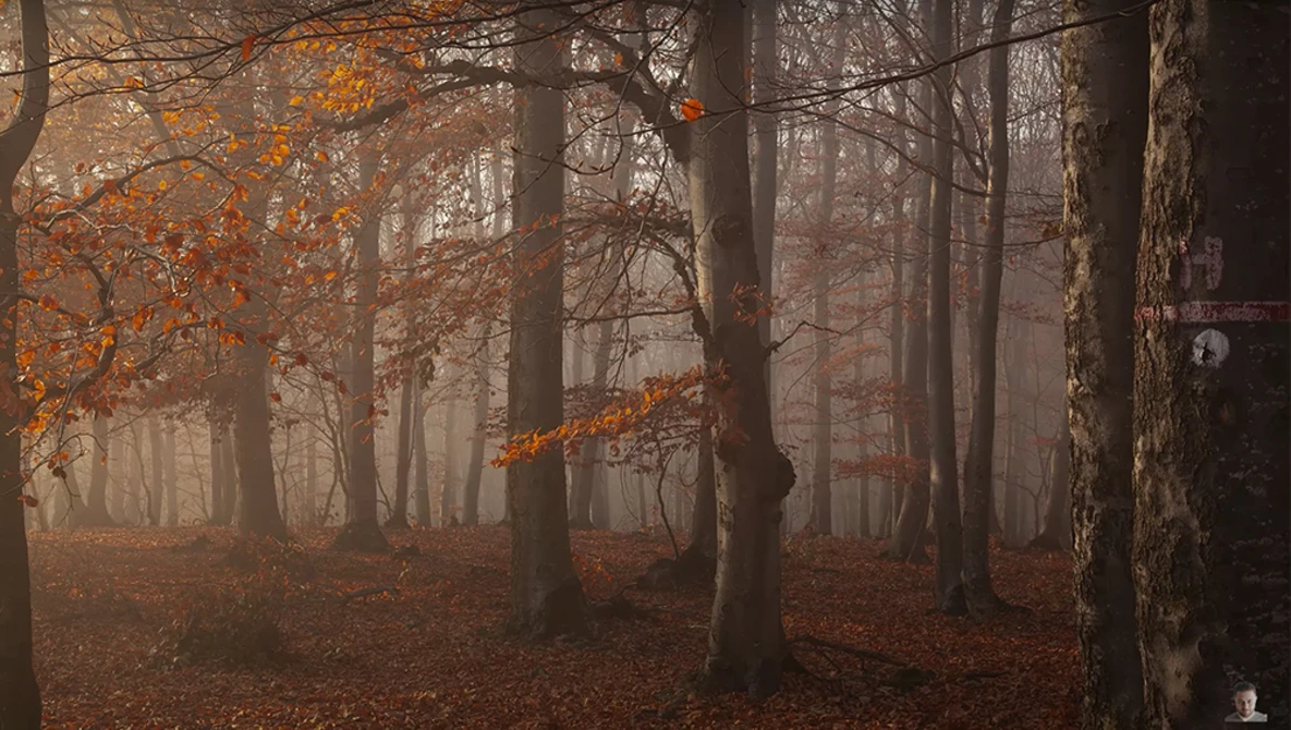 Watch 7 Mistakes in Landscape Photography on YouTube.