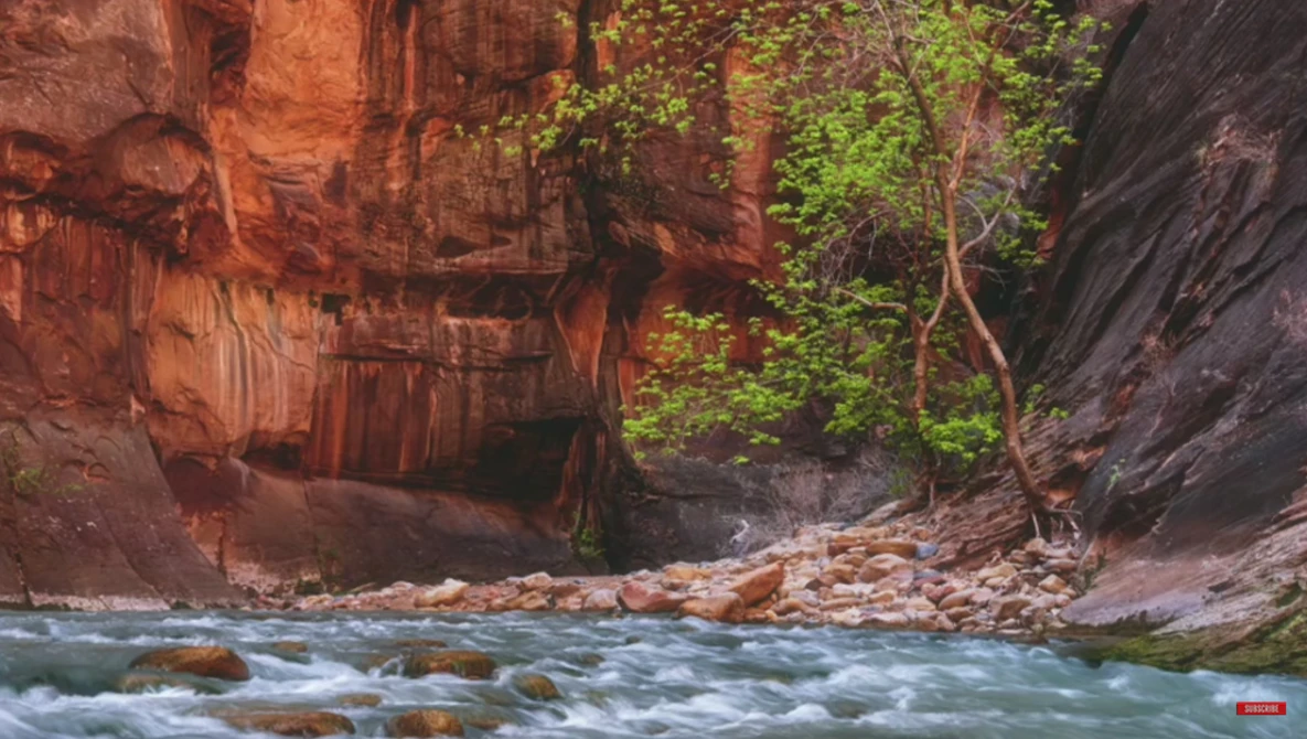 Turquoise river flowing through a narrow canyon with towering red rock walls and lush green vegetation.