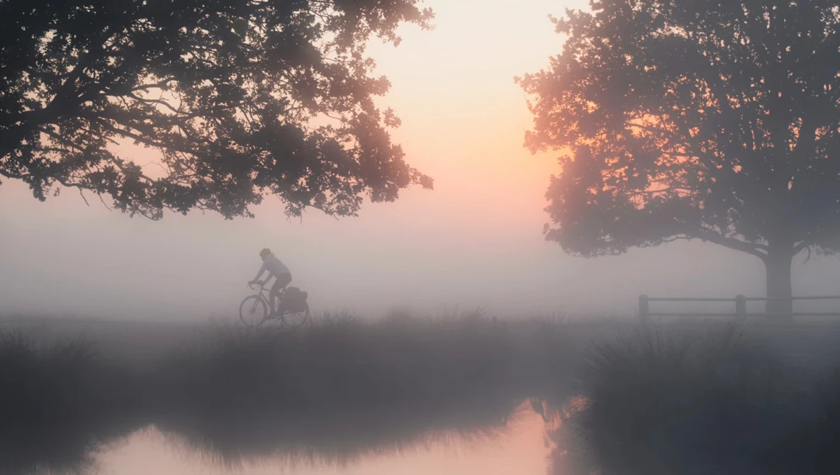 Person riding a bicycle along a misty waterside path at dawn, framed by trees with golden sunlight filtering through.