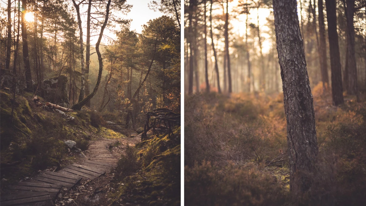 Watch Why would you become a LANDSCAPE PHOTOGRAPHER if you DON'T LIKE landscape photography??? on YouTube.