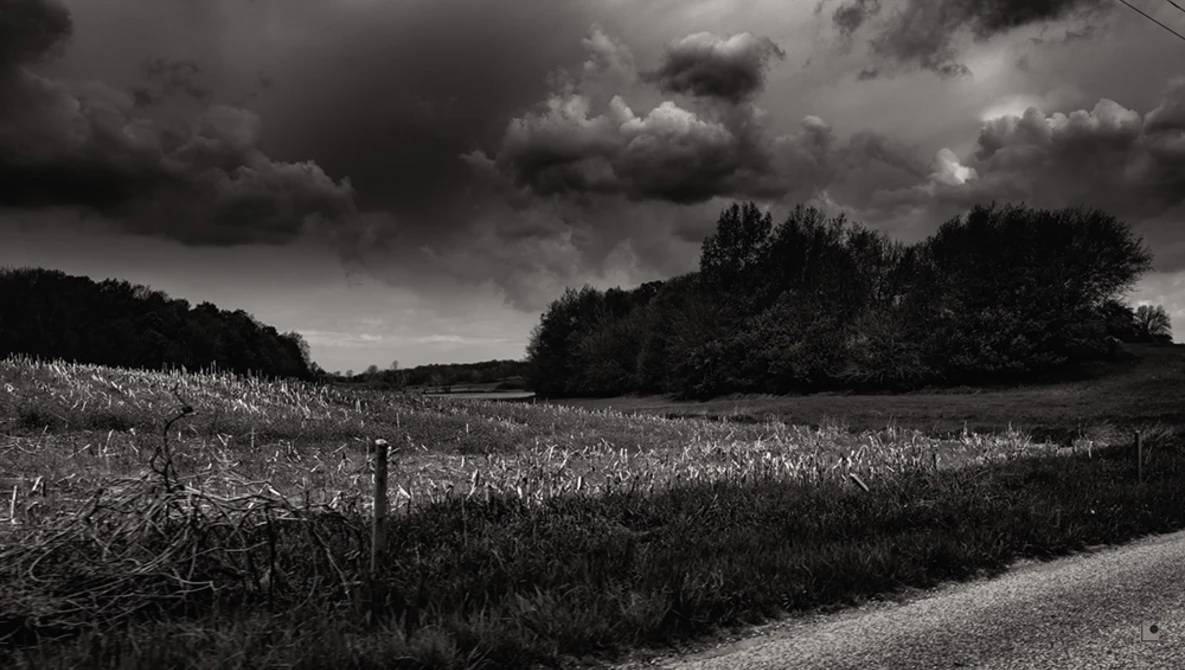 Harvested cornfield with dramatic storm clouds and tree line under dark sky.