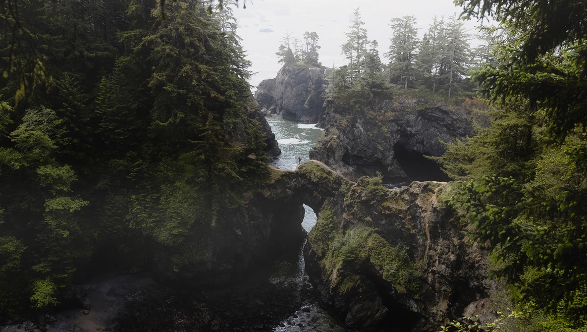 Rocky coastal landscape with moss-covered boulders, dense coniferous forest, and turquoise water visible between forested cliffs.