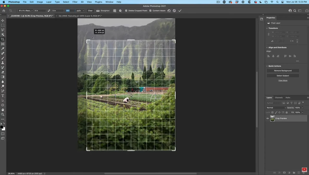 Screenshot of Photoshop with grid overlay applied to a landscape photograph of a vegetable garden.