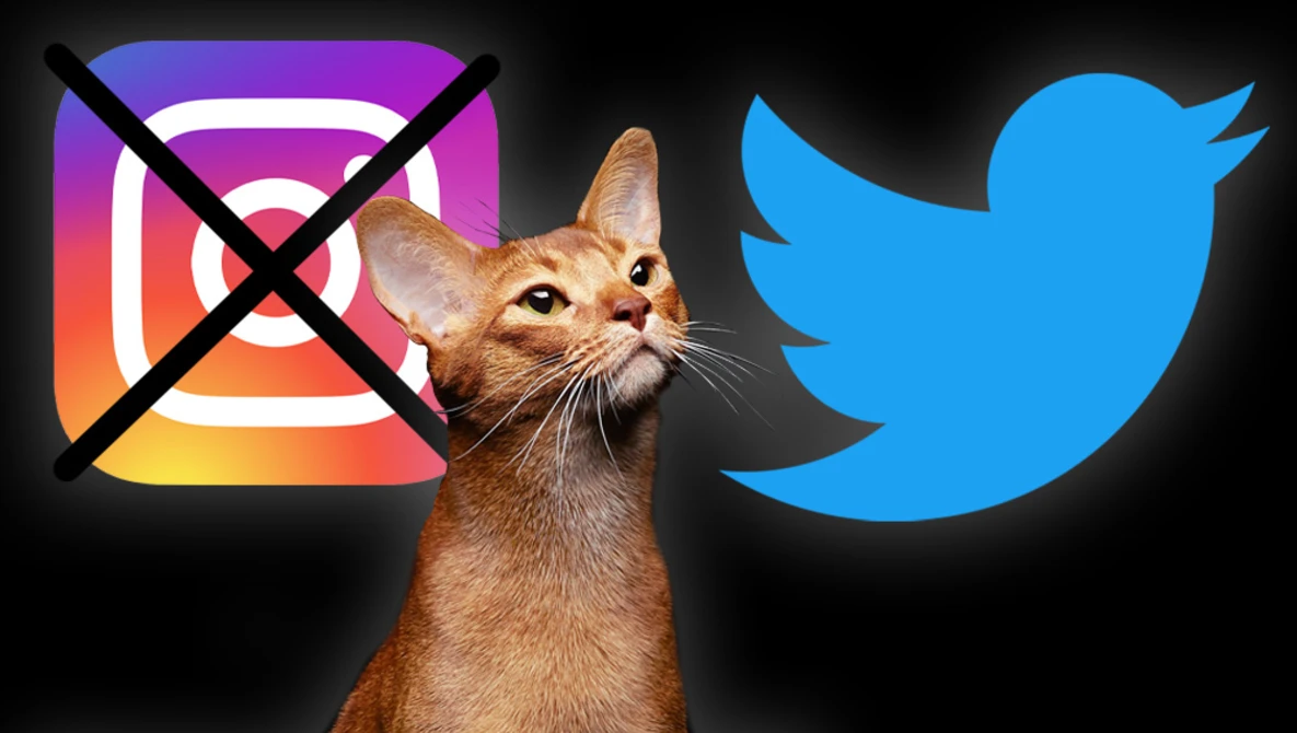 Watch Should Photographers DITCH INSTAGRAM and SWITCH TO TWITTER? on YouTube.