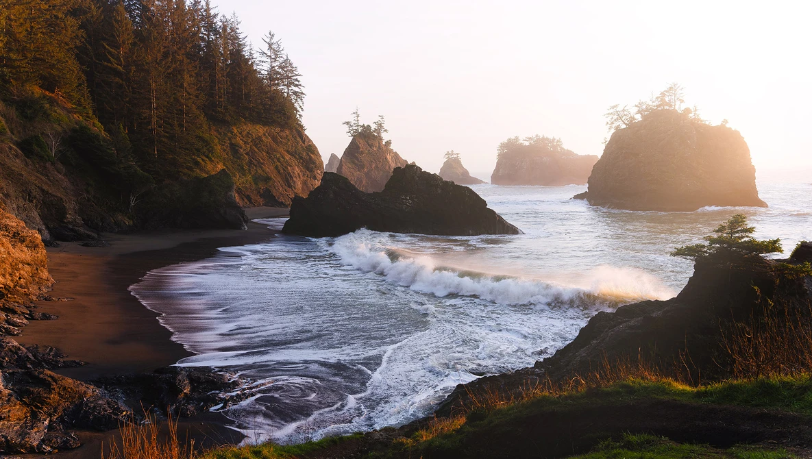 Rocky sea stacks and forested cliffs frame a beach at golden hour with incoming waves.