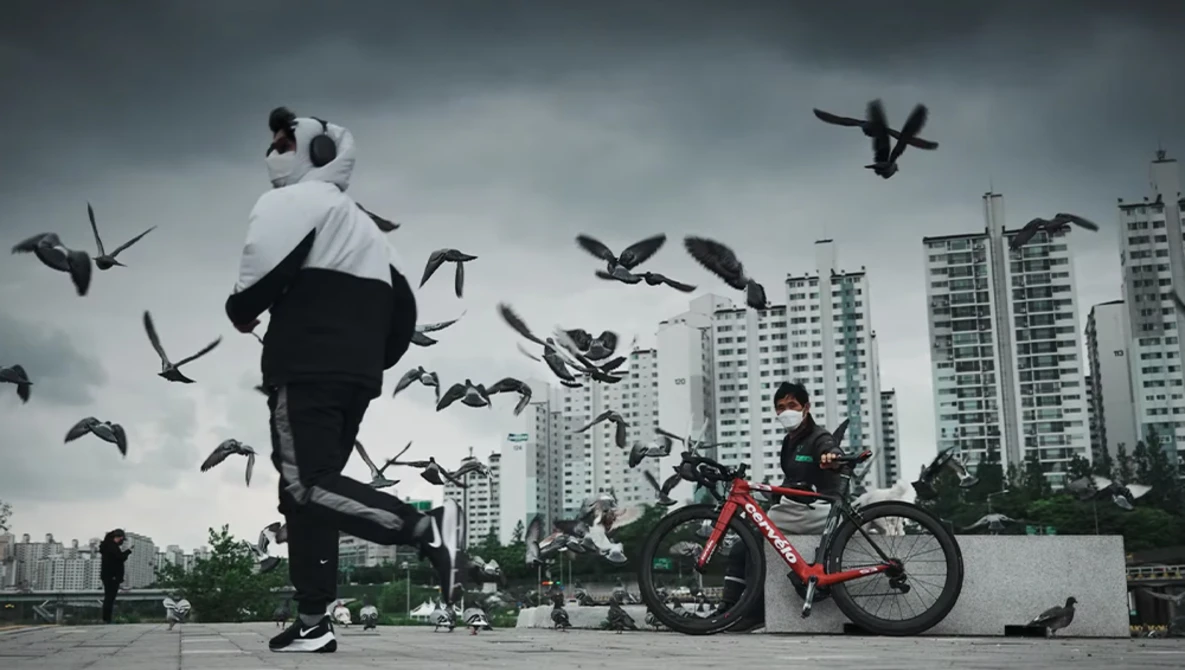 Runner and cyclist with birds in flight around them in an urban plaza with apartment buildings behind.