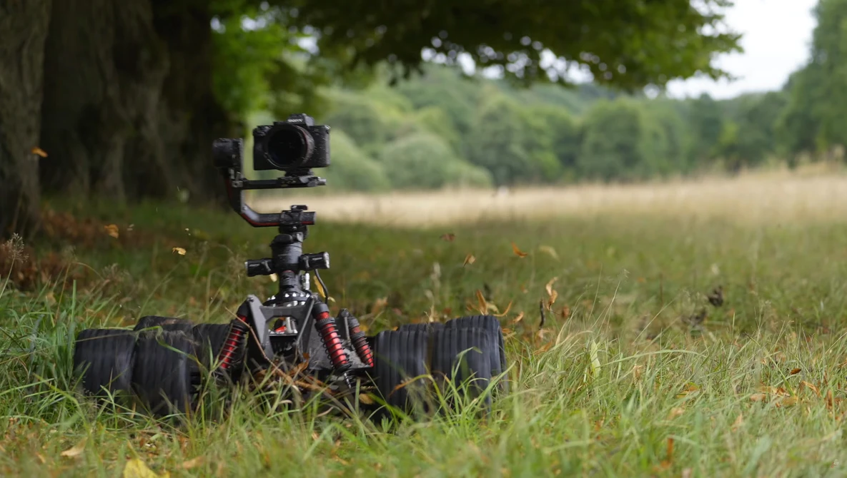 Mirrorless camera mounted on tripod with remote trigger in grassy field beneath tree.
